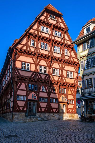 BADEN-WÜRTTEMBERG : ESSLINGEN AM NECKAR van Photoart-Naegele
