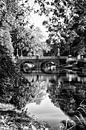 De Abstederbrug over de Singel in Utrecht van André Blom Fotografie Utrecht thumbnail