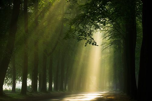 Rayon de tranquillité