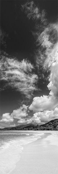 Tropical Caribbean Beach noir-blanc par Manfred Voss, Photographie Noir et Blanc