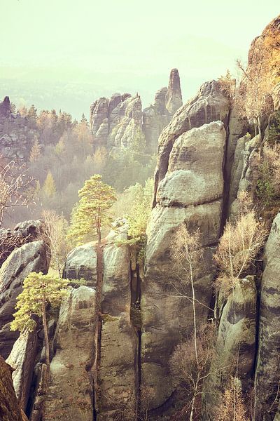 Felsformation in der Sächsischen Schweiz von Michael Moser