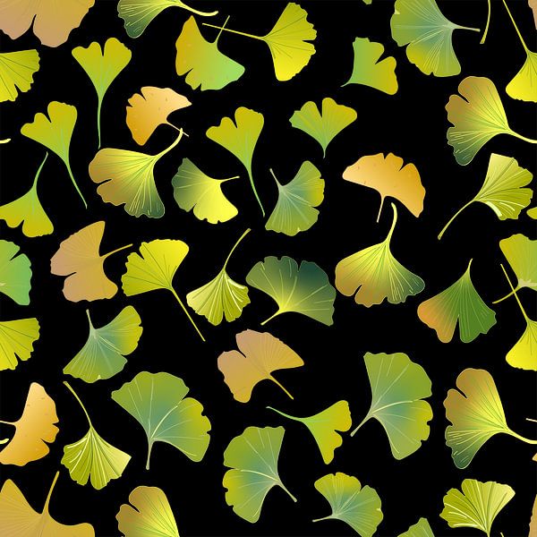 Ginkgo biloba von JipvanZeist