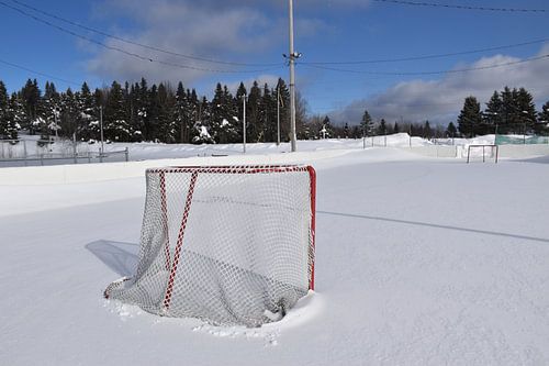 De dorpsijsbaan in de winter