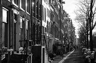 Amsterdam in black and white by SusanneV thumbnail