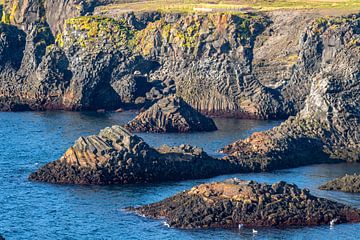 Arnastapi coastal landscape with cliffs in summer near the Snaefellsnes peninsula in Iceland