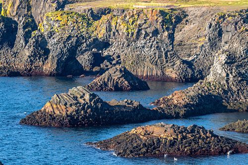Arnastapi coastal landscape with cliffs in summer near the Snaefellsnes peninsula in Iceland
