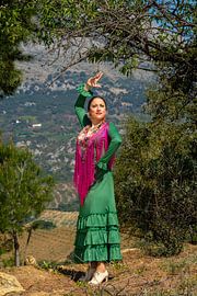 Flamenco sur Peter Laarakker