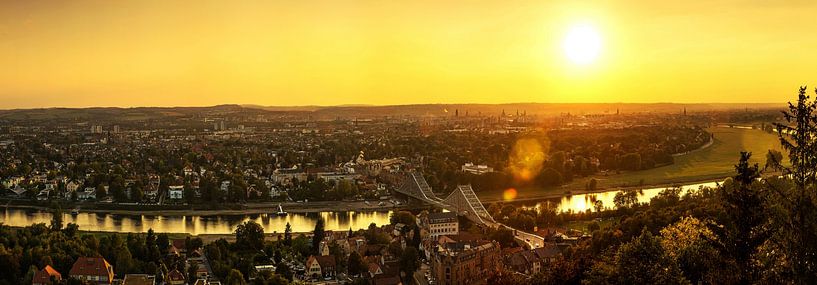 Dresden Skyline mit Loschwitzer Brücke im Sonnenuntergang von Frank Herrmann