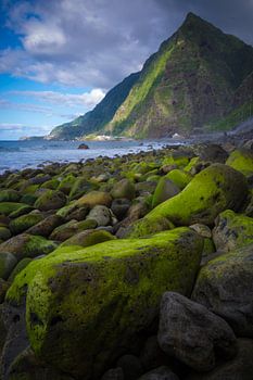 Grüne Felsen am Strand.
