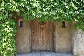 Begroeide gevel en houten deur van een oud huis van Nicolette Vermeulen