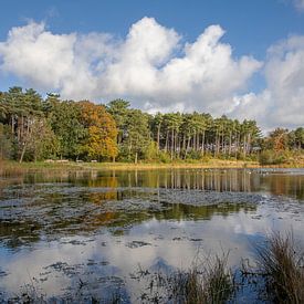 Dune Lake Doodemanskisten, West Terschelling by Russcher Tekst & Beeld