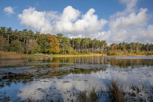 Duinmeer Doodemanskisten, West-Terschelling sur Russcher Tekst & Beeld