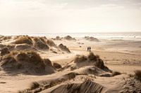 Dunes and beach of Rømø in Denmark
