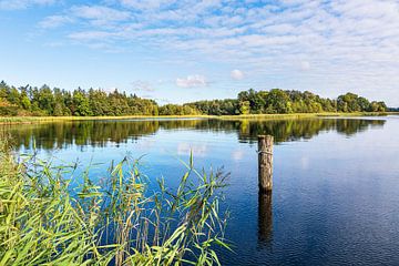 Landscape at Lake Krakow in the town of Krakow by the lake by Rico Ködder