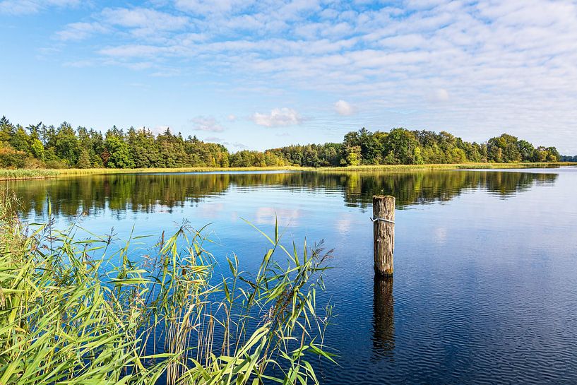 Landschaft am Krakower See in der Stadt Krakau am See von Rico Ködder