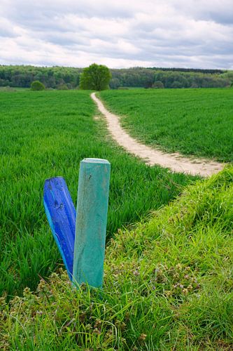 Two posts near a footpath in southern Limburg