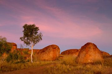 Sunset over Central Australia's Red Giants- Karlu Karlu (Devil's Marbles) by Joyce van Dijk Fotografie - fotografiekunst vanuit m'n