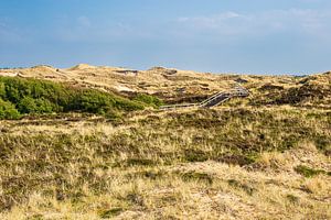 Landschaft in den Dünen bei Norddorf auf der Insel Amrum