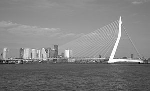 De Erasmusbrug in Rotterdam