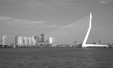 De Erasmusbrug in Rotterdam