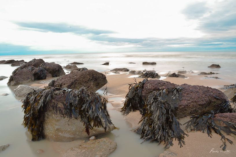 Sea by ferdy visser