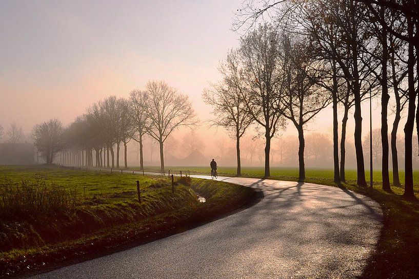 Fietser in de morgen van Anja Jooren