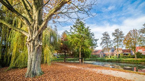 King's Park in Herbstfarben