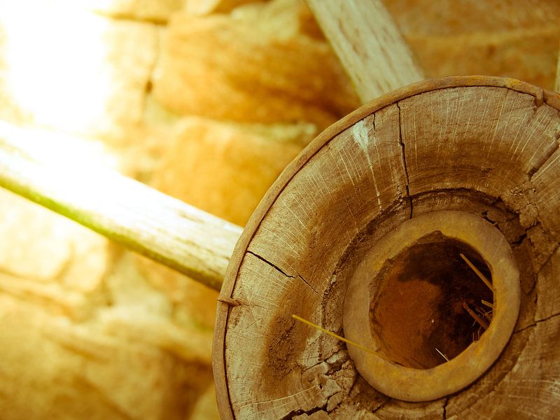 Detail 5 by Miriam Meijer, en pleine campagne.....