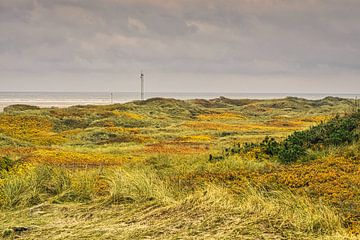Blåvand duinlandschap in Denemarken aan de Noordzee van Martin Köbsch