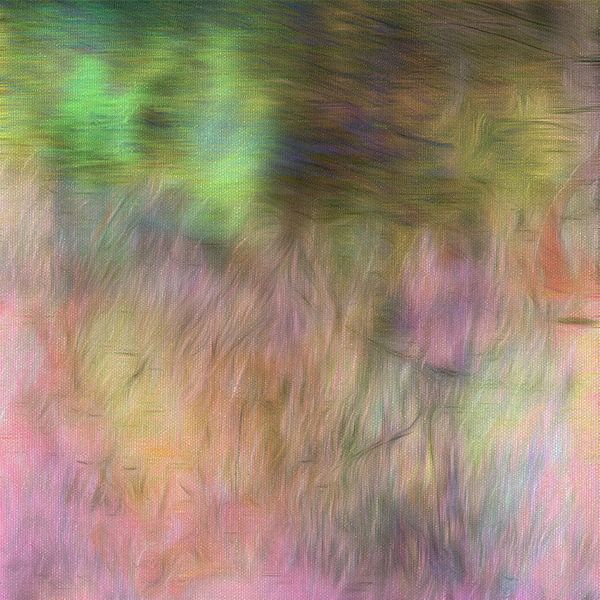 Schüchterner Regenbogen von Dorothy Berry-Lound