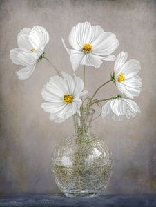 Simplement cosmos, Mandy Disher sur 1x