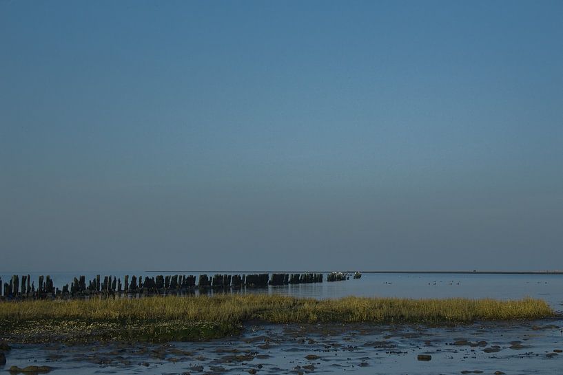 De Paezemerlânnen by By Foto Joukje