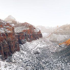 Zion-Nationalpark im Winter von Gabi Siebenhühner