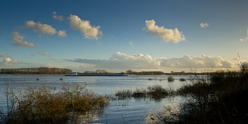 Hoog water in de Waal