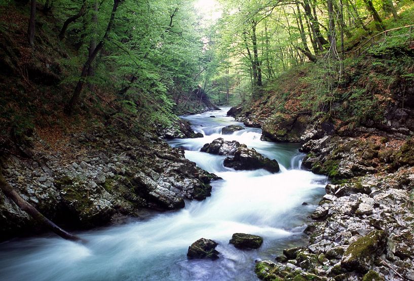 Vintnar Gorge Slovenia by Richard Wareham