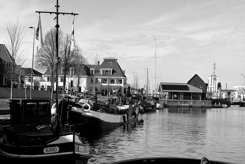 Vissershaven van Harderwijk van Gerard de Zwaan