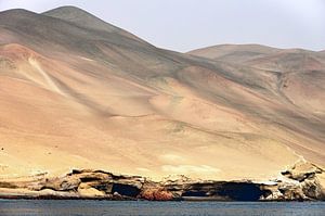 Die Ballestas-Inseln: ein einzigartiges Ökosystem an der peruanischen Küste