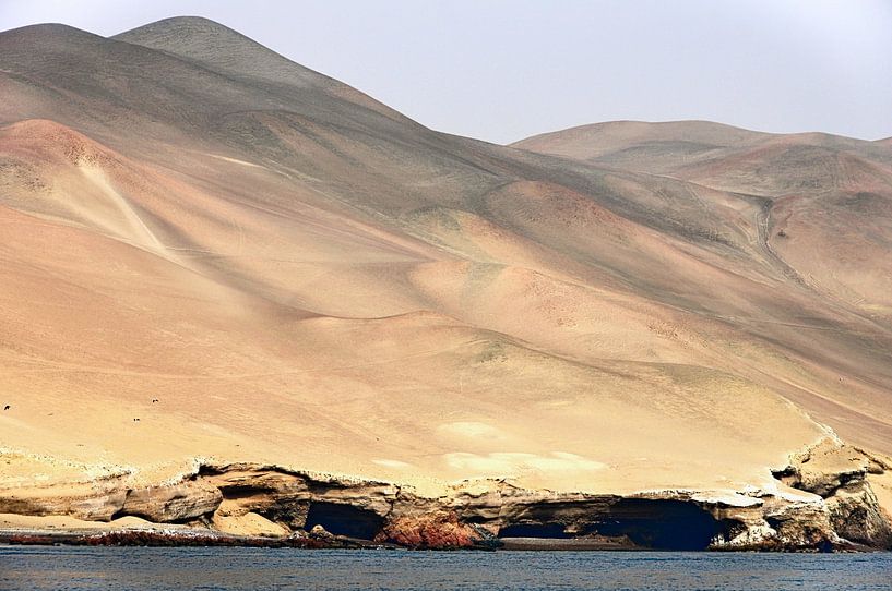 De Ballestas-eilanden: een uniek ecosysteem aan de Peruaanse kust van Frank Photos