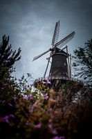 Windmolen