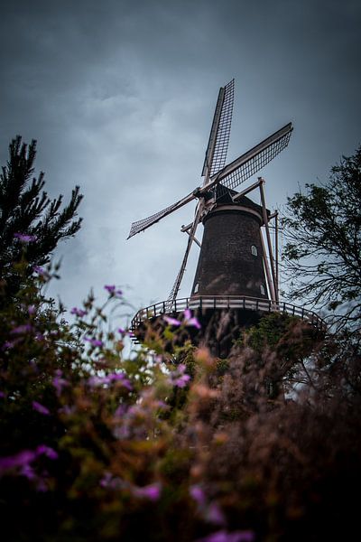 Windmill by Jeffrey Hensen