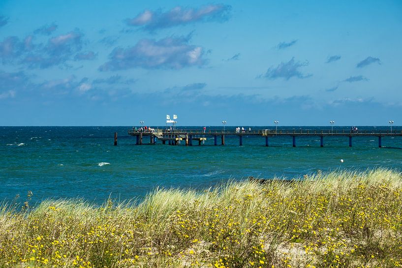 Strand an der Ostsee bei Graal Müritz von Rico Ködder