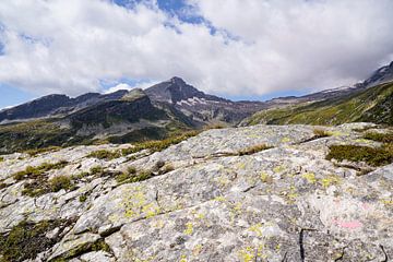 Unberührte alpine Wildnis in den Schweizer Alpen mit schroffen Gipfeln und rauer Natur. von Miriam Schwarzfischer Fotografie