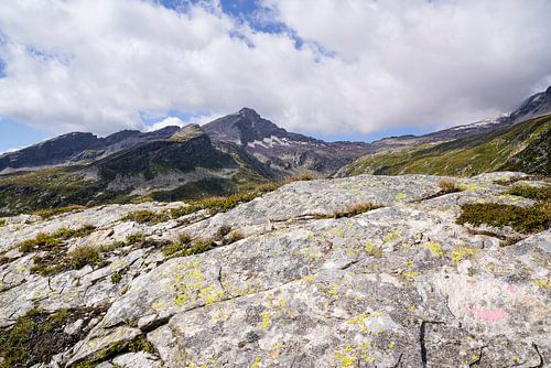 Ongerepte alpenwildernis in de Zwitserse Alpen met ruige bergtoppen en ruige natuur.