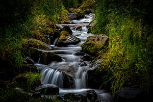 Stampfebächle – Sanfte Kaskaden Wasserfälle in Münstertal - 7