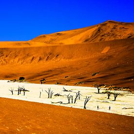 Sossusvlei dessert Namibia van Peter Relyveld