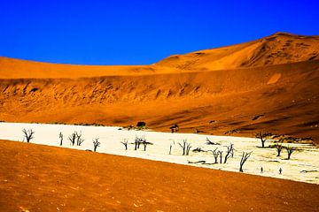 Sossusvlei dessert Namibia van Peter Relyveld