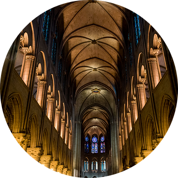 De schoonheid van de Notre-Dame van Damien Franscoise