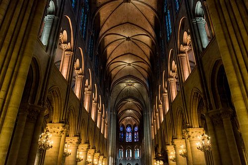 De schoonheid van de Notre-Dame