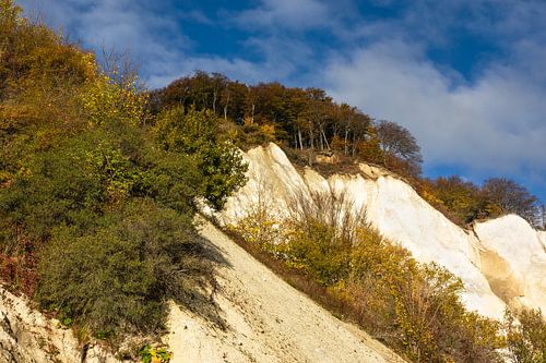 Ostseeküste auf der Insel Moen in Dänemark
