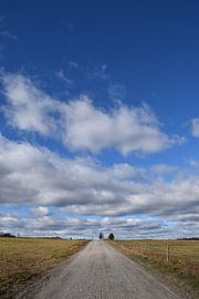 A deserted road in summer by Claude Laprise